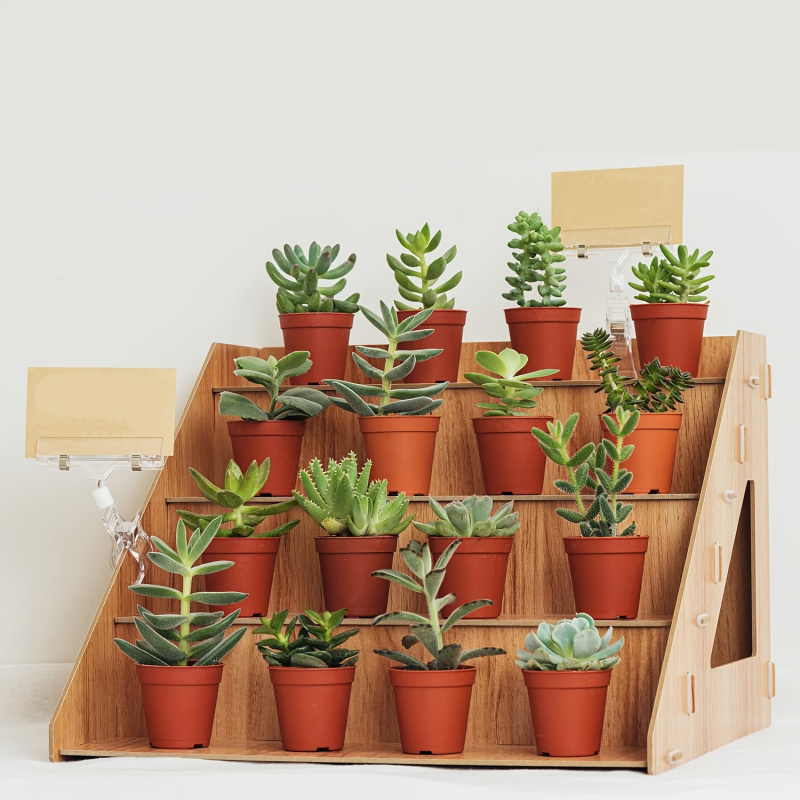 Wooden Display Rack, Farm Mark - đánh giá và giá Pop Display Shelf