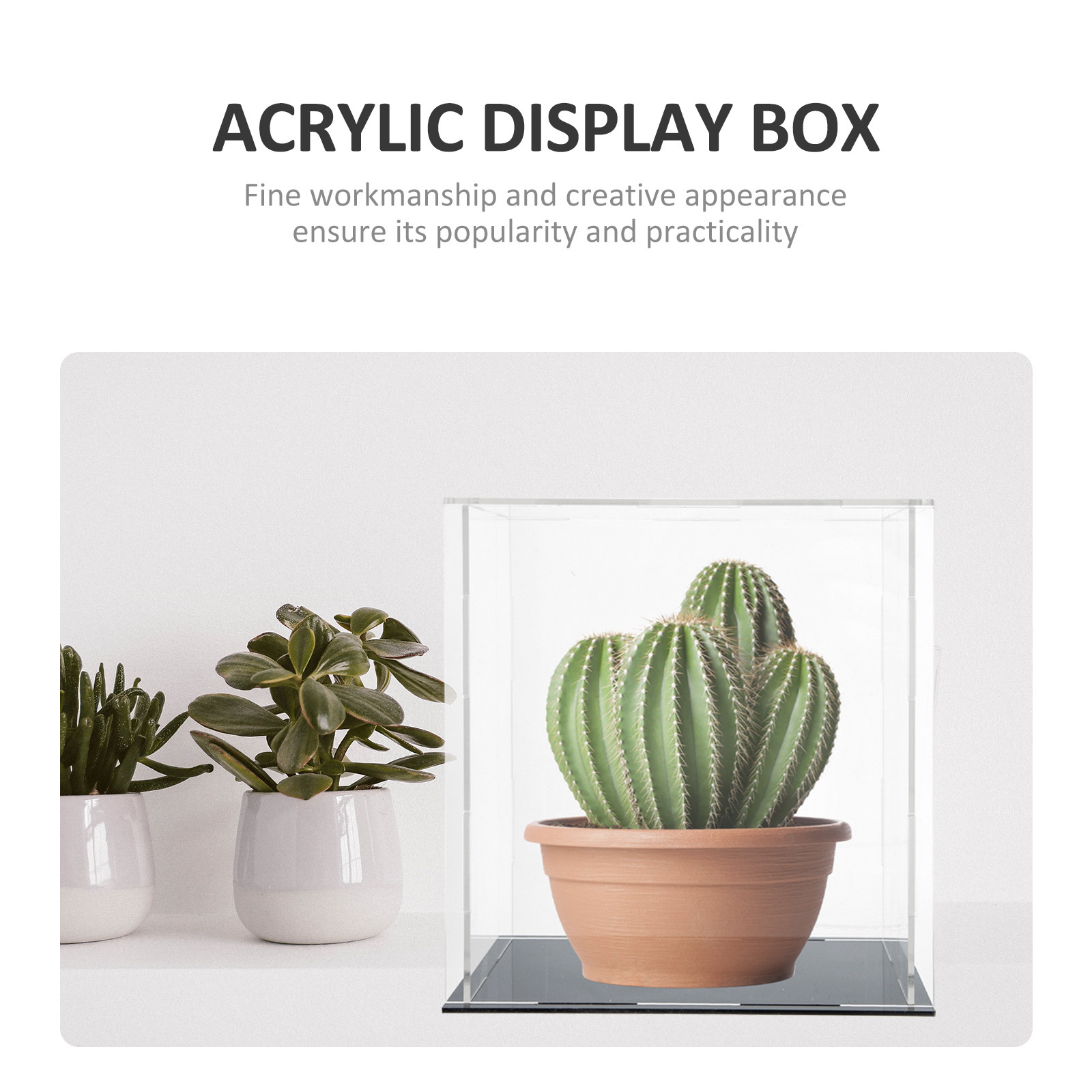 Heavy-Duty Acrylic Display Box - đánh giá và giá Display Case Acrylic