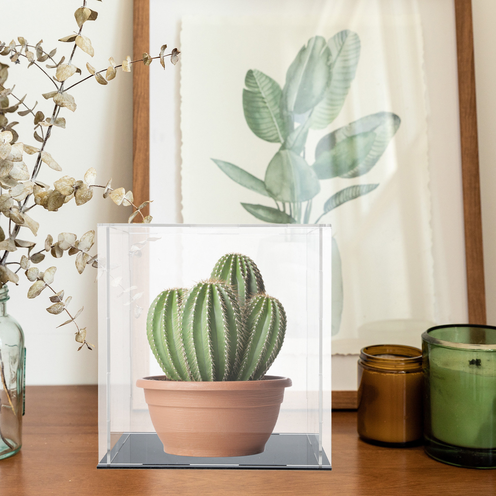 Heavy-Duty Acrylic Display Box - đánh giá và giá Display Case Acrylic